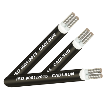 CÁP NHÔM 2 RUỘT, CÁCH ĐIỆN XLPE, VỎ BỌC PVC - AXV2X